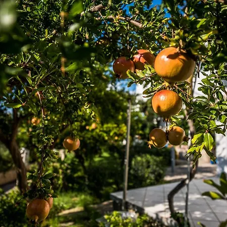 Avouris Apartament